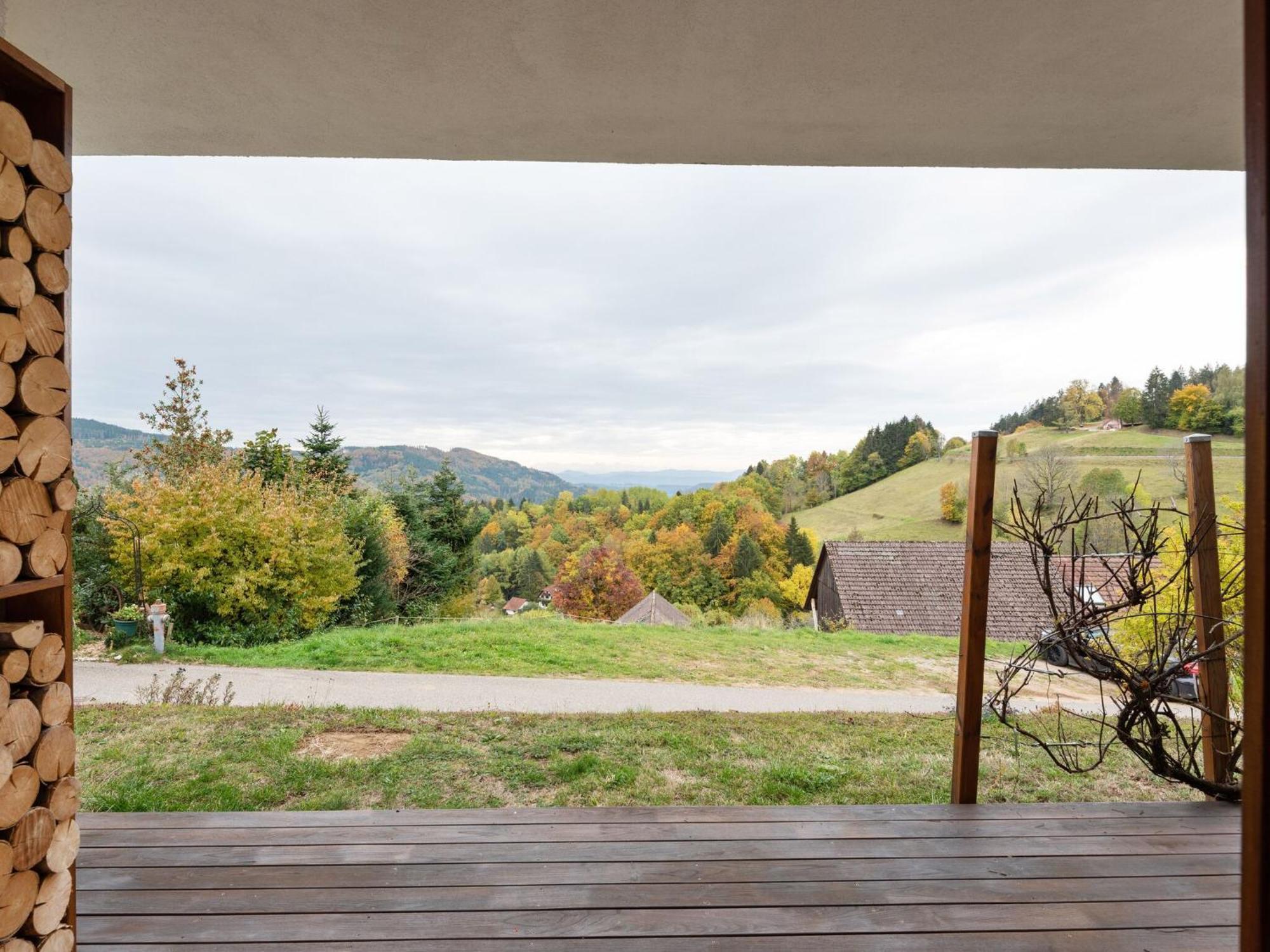 Apartment On The Edge Of The Forest Kleines Wiesental Exteriér fotografie